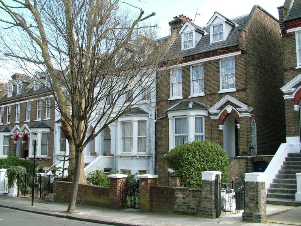 hmo-article