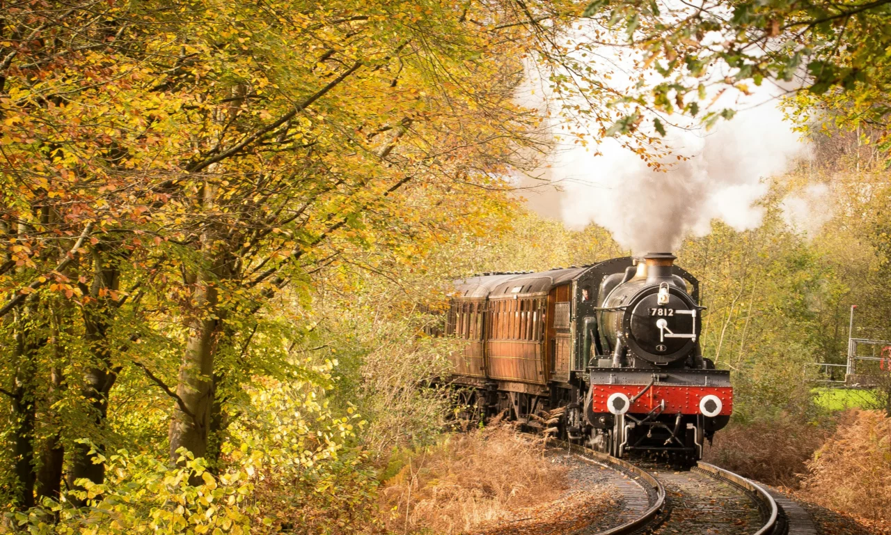 A Severn Valley Railway steam train in autumn woodland near Bewdley